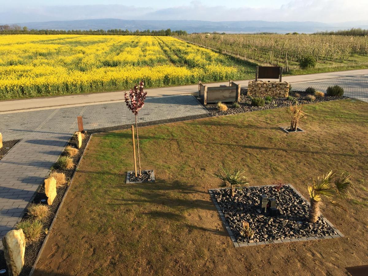 Wohnung 1 Im Kirschbluetenhof Ингельхайм-ам-Райн Экстерьер фото